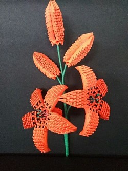 Fleurs de lys, comprenant 2 fleurs et 3 boutons - REF : 0119 - Prix : 15,00€ - longueur + ou - 35cm