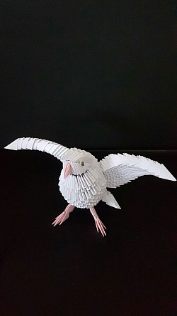 Pigeon blanc - REF : 0043 - Prix : 15,00€ - Envergure+ ou - 22cm.